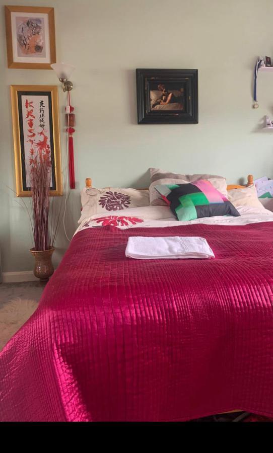 Cosy Room In London Wembley エクステリア 写真