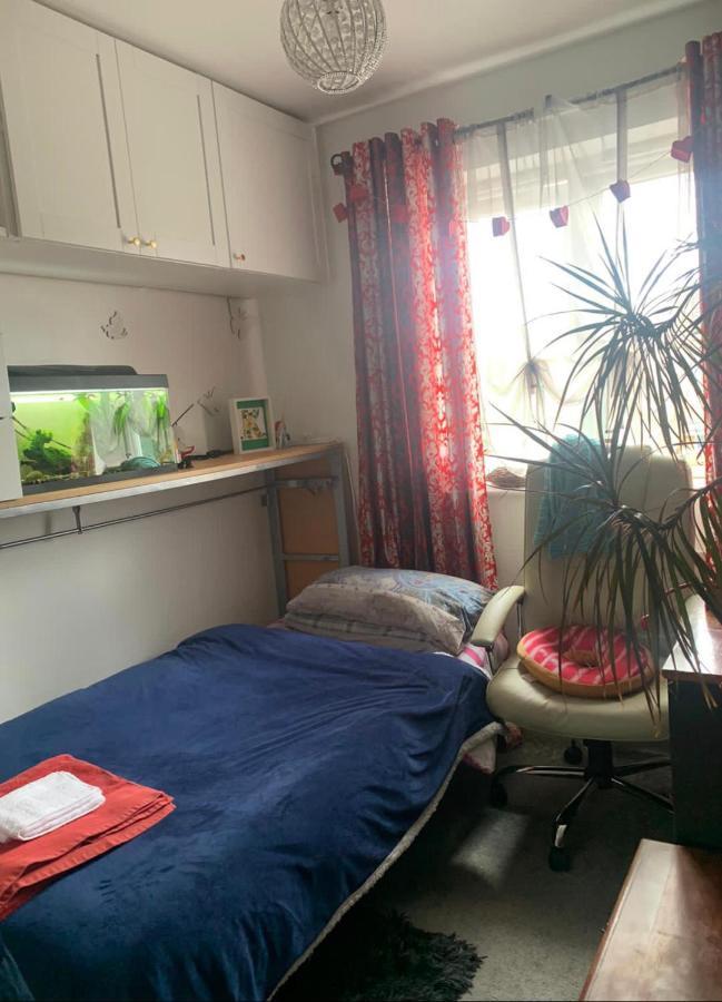 Cosy Room In London Wembley エクステリア 写真