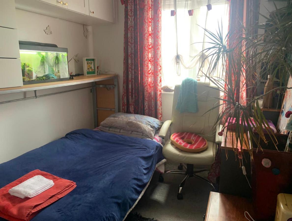 Cosy Room In London Wembley エクステリア 写真
